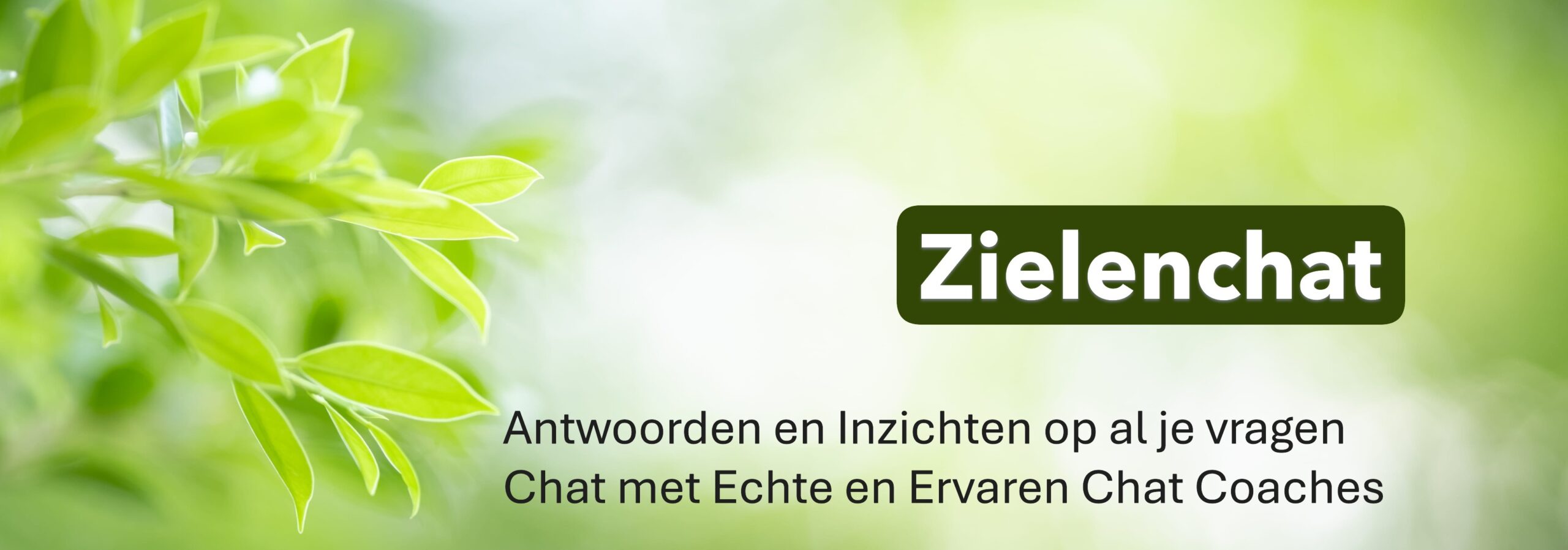 Alle Coaches Zielenchat