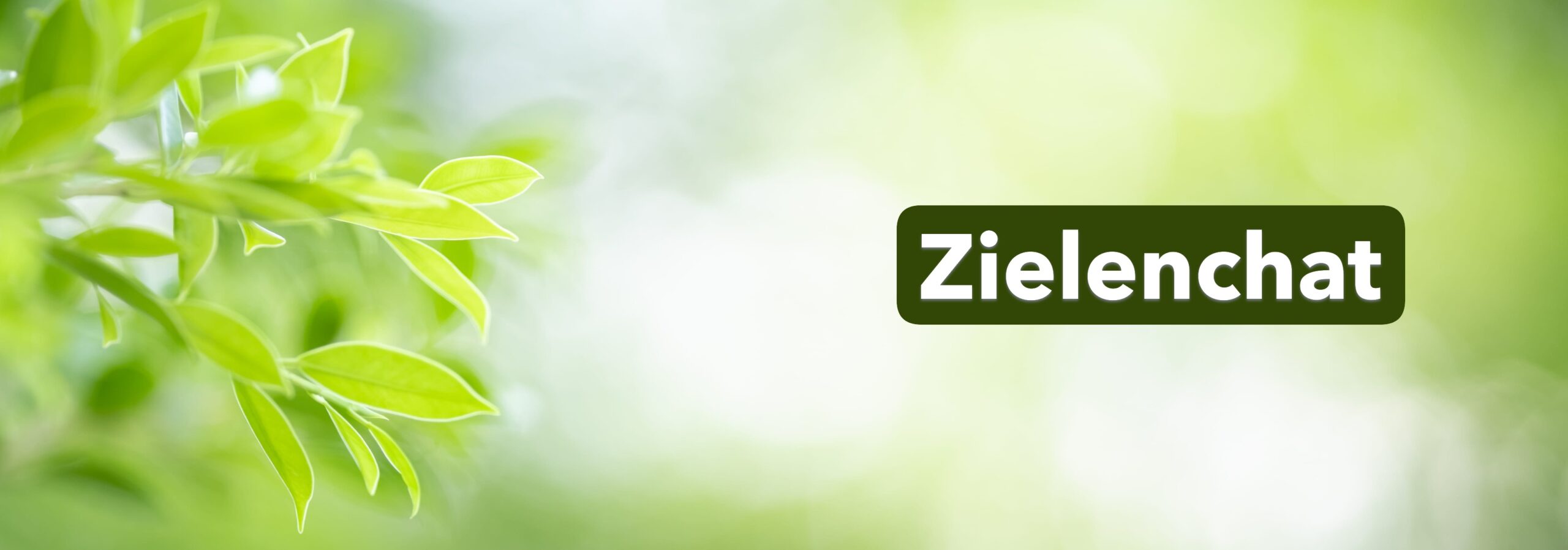 Zielenchat
