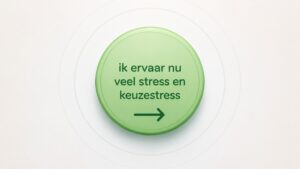 Ik ervaar nu stress en keuzestress